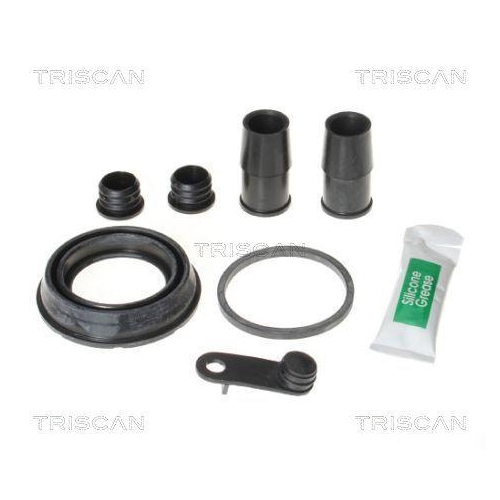 TRISCAN Reparatursatz, Bremssattel