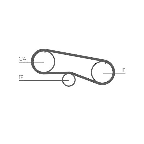 CONTINENTAL CTAM Zahnriemen