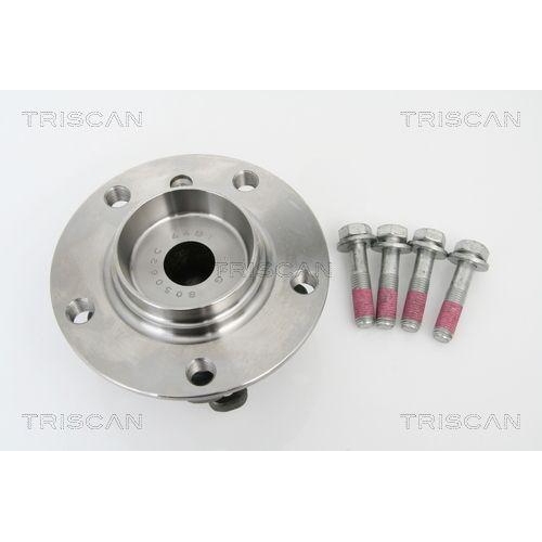 TRISCAN Radlagersatz