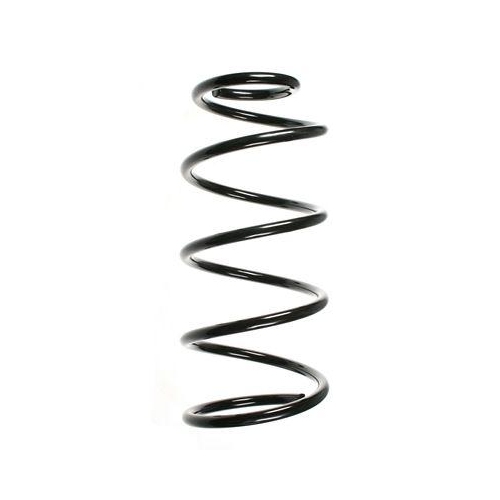 SPIDAN Fahrwerksfeder