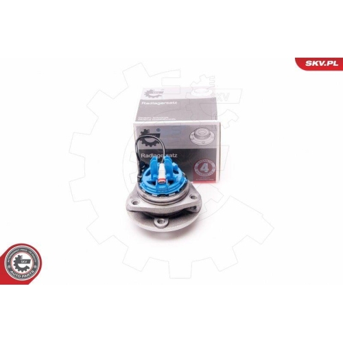 ESEN SKV Radlagersatz