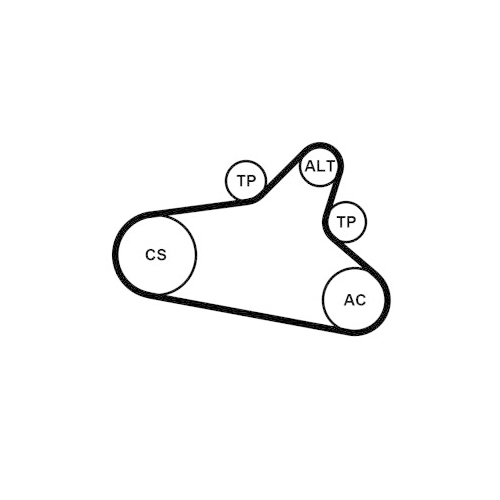 CONTINENTAL CTAM Keilrippenriemensatz
