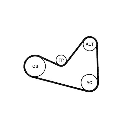 CONTINENTAL CTAM Keilrippenriemensatz