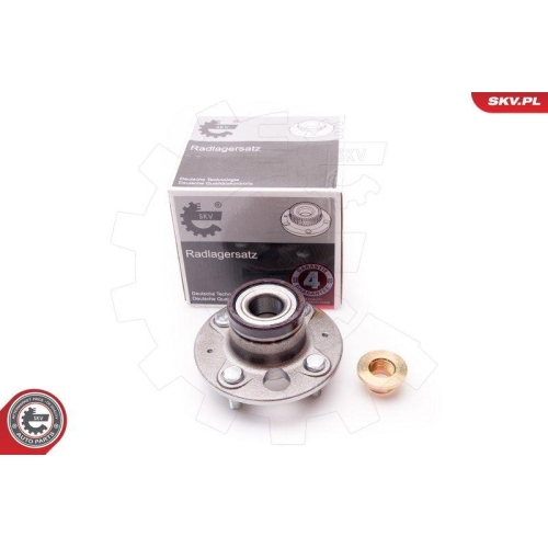 ESEN SKV Radlagersatz