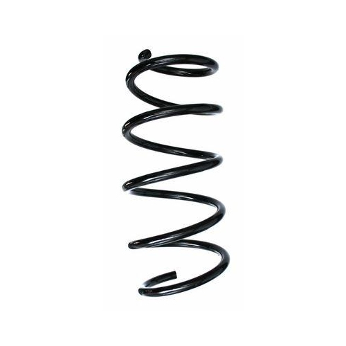 SPIDAN Fahrwerksfeder