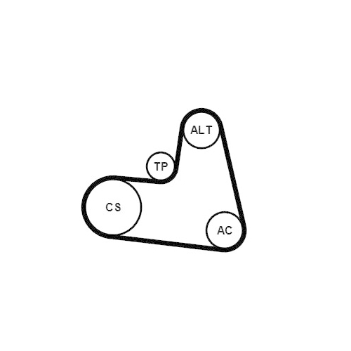 CONTINENTAL CTAM Keilrippenriemensatz