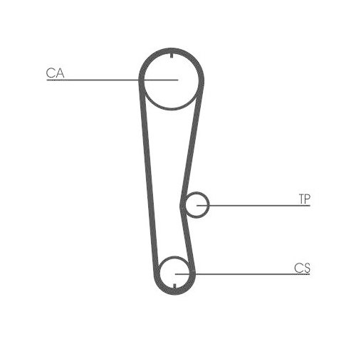 CONTINENTAL CTAM Zahnriemen