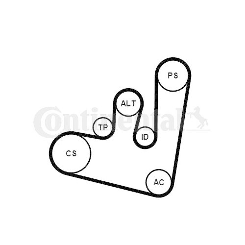 CONTINENTAL CTAM Keilrippenriemensatz