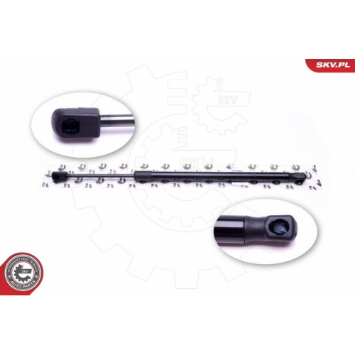 ESEN SKV Gasfeder, Koffer-/Laderaum