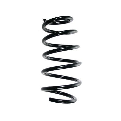 SPIDAN Fahrwerksfeder