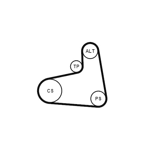 CONTINENTAL CTAM Keilrippenriemensatz