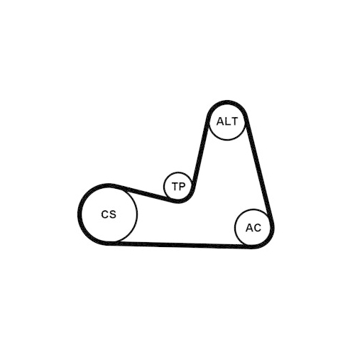 CONTINENTAL CTAM Keilrippenriemensatz