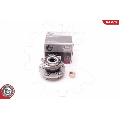 ESEN SKV Radlagersatz