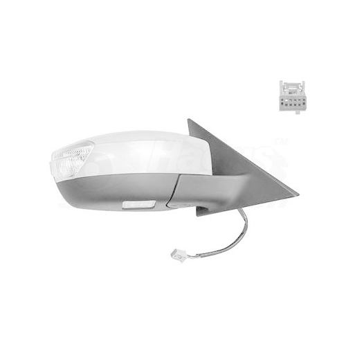 VAN WEZEL Außenspiegel * HAGUS *