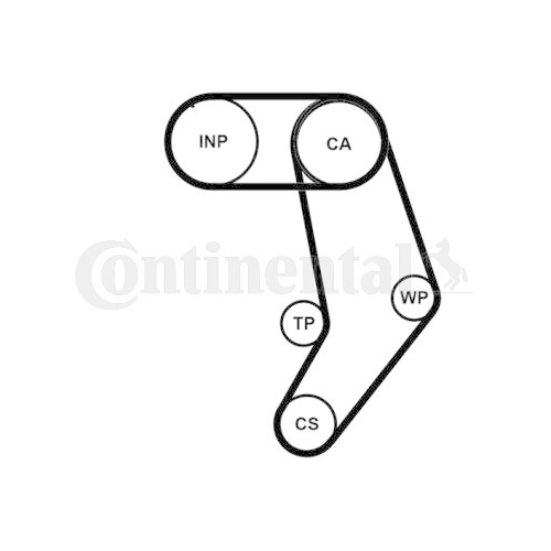 CONTINENTAL CTAM Zahnriemensatz