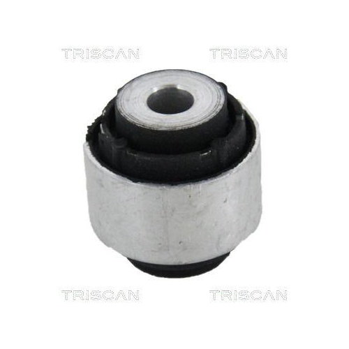 TRISCAN Lagerung, Lenker