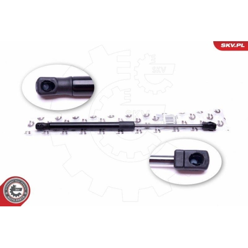 ESEN SKV Gasfeder, Koffer-/Laderaum