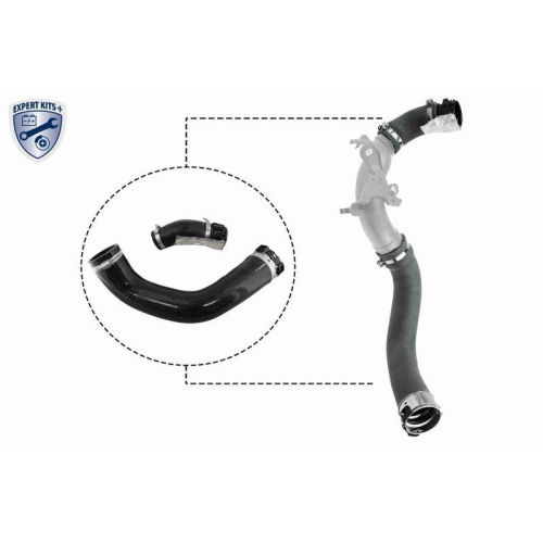 VAICO Ladeluftschlauch EXPERT KITS +