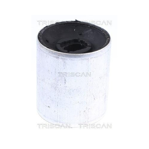 TRISCAN Lagerung, Lenker