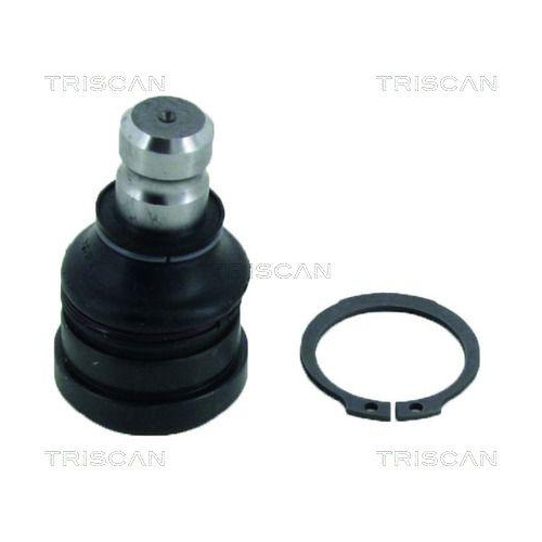 TRISCAN Trag-/F&uuml;hrungsgelenk