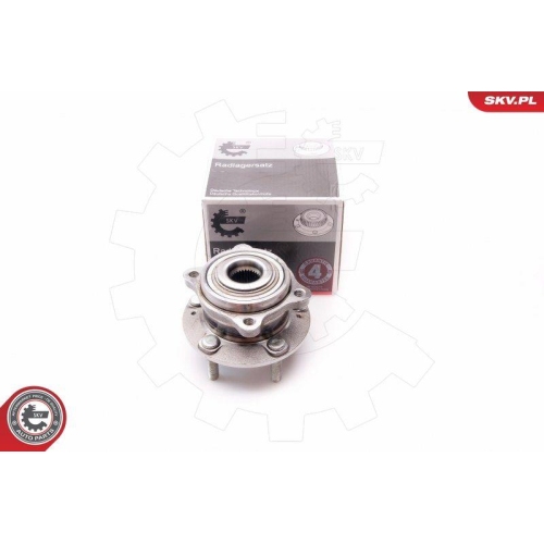 ESEN SKV Radlagersatz