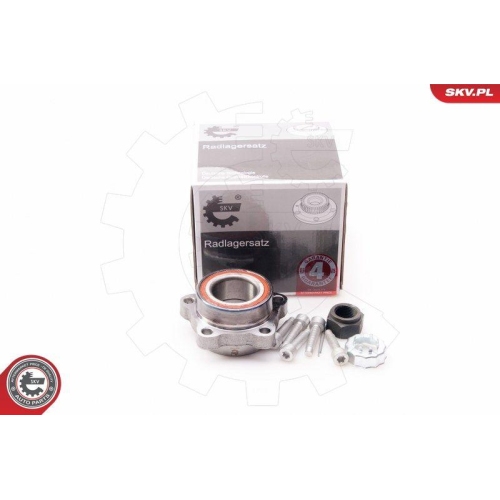 ESEN SKV Radlagersatz