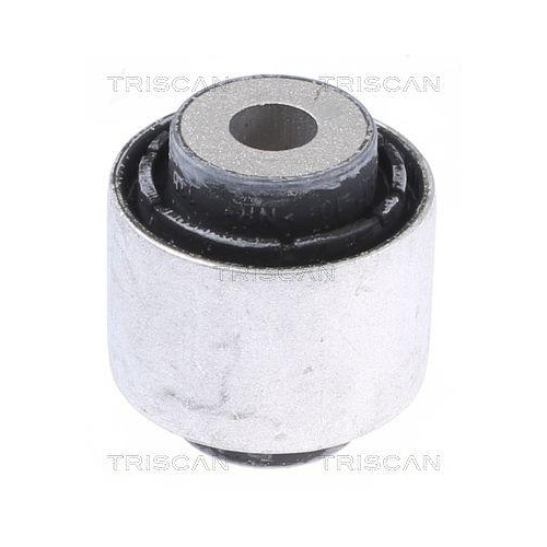 TRISCAN Lagerung, Lenker