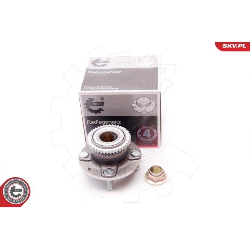 ESEN SKV Radlagersatz