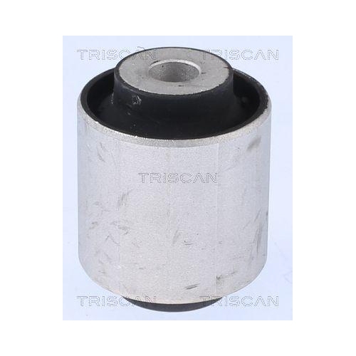 TRISCAN Lagerung, Lenker