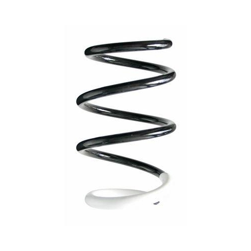 SPIDAN Fahrwerksfeder