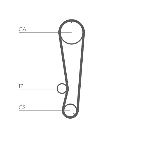 CONTINENTAL CTAM Zahnriemen