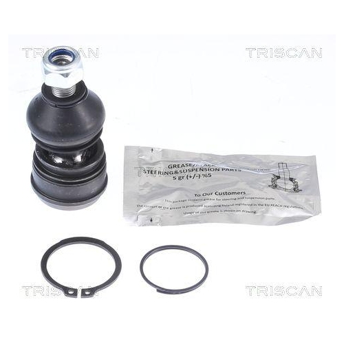 TRISCAN Trag-/F&uuml;hrungsgelenk