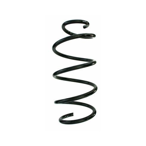 SPIDAN Fahrwerksfeder