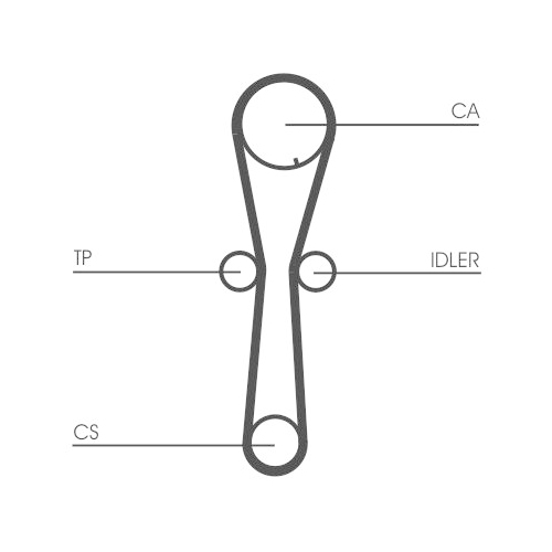 CONTINENTAL CTAM Zahnriemen