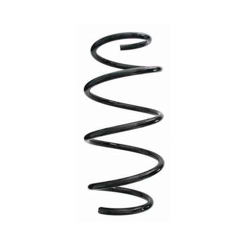 SPIDAN Fahrwerksfeder