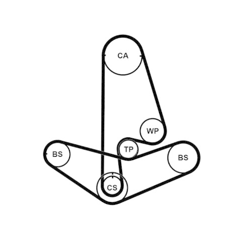 CONTINENTAL CTAM Zahnriemensatz