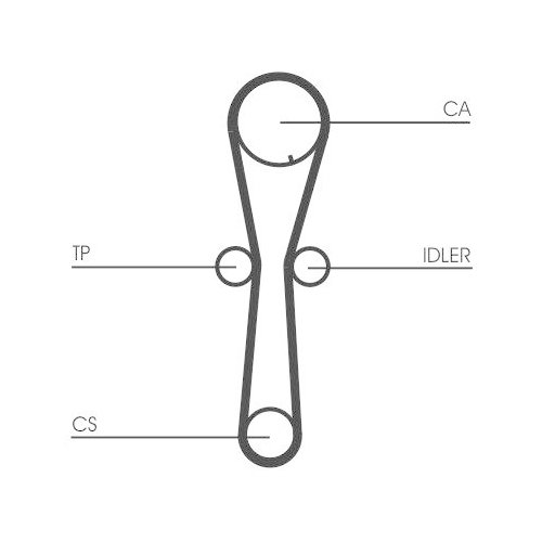 CONTINENTAL CTAM Zahnriemen