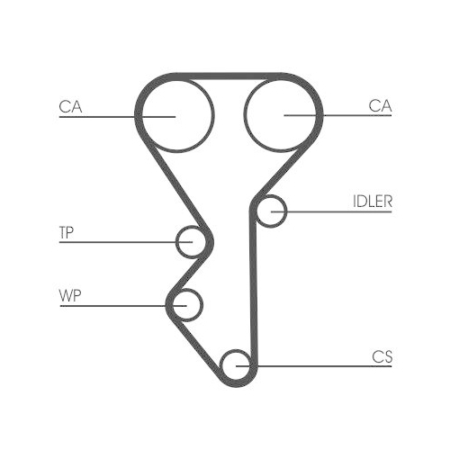 CONTINENTAL CTAM Zahnriemen