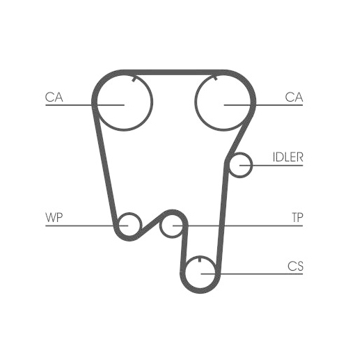 CONTINENTAL CTAM Zahnriemen