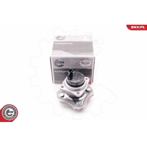 ESEN SKV Radlagersatz