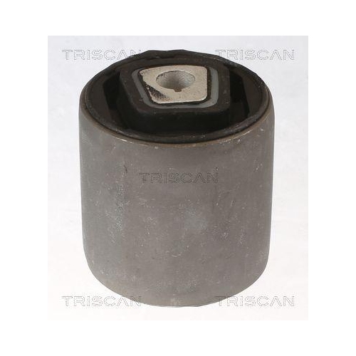 TRISCAN Lagerung, Lenker