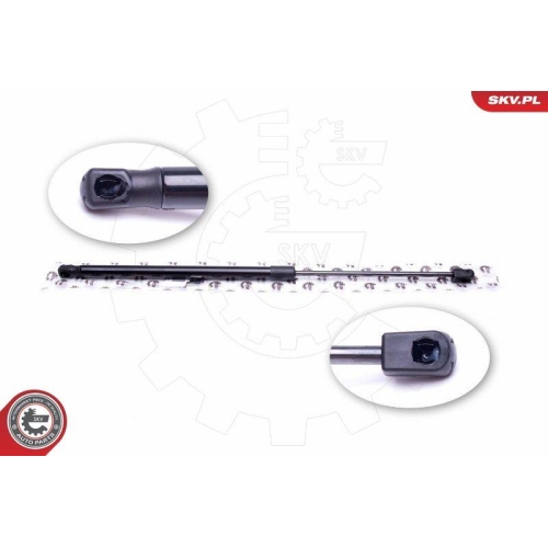 ESEN SKV Gasfeder, Koffer-/Laderaum