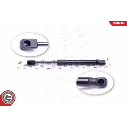 ESEN SKV Gasfeder, Koffer-/Laderaum