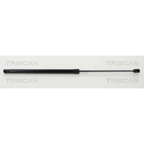 TRISCAN Gasfeder, Koffer-/Laderaum