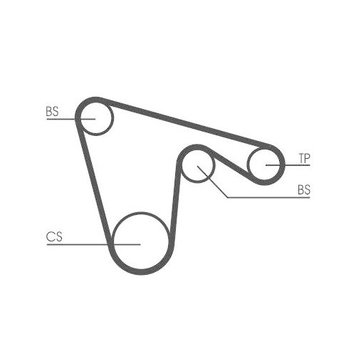 CONTINENTAL CTAM Zahnriemen