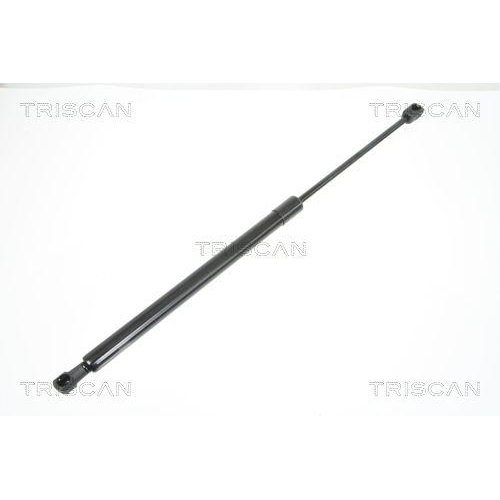 TRISCAN Gasfeder, Koffer-/Laderaum