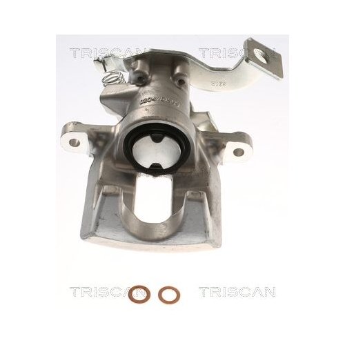 TRISCAN Bremssattel