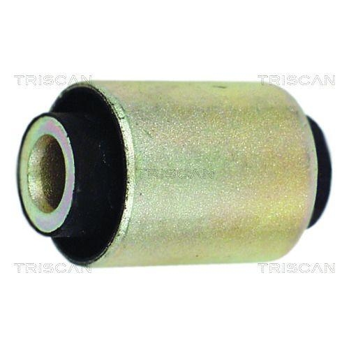 TRISCAN Lagerung, Lenker