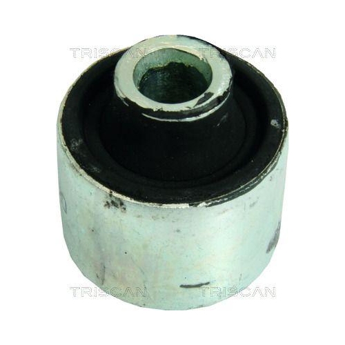 TRISCAN Lagerung, Lenker