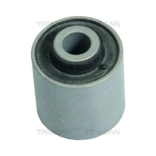 TRISCAN Lagerung, Lenker